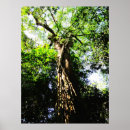Search for large tree posters Green