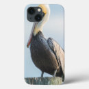 Search for aquatic birds electronics Animal