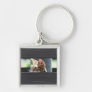 Search for 4 key rings Side view