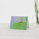 Search for red bug cards Nature