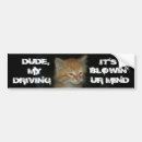 Search for kittie bumper stickers Kitten