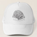 Search for turtle hats Tortoise