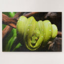 Search for reptile puzzles Green