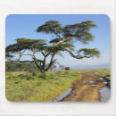 Search for dirt road mousepads Landscape