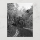 Search for utah postcards White