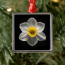Search for daffodil christmas tree decorations Bouquet