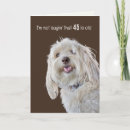 Search for poodle birthday cards Cute