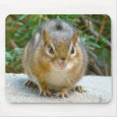 Search for adorable chipmunk mousepads Nature