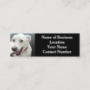 Search for funny business cards Simple