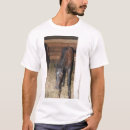 Search for pony tshirts Barn