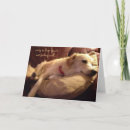 Search for squirrel get well cards Illness