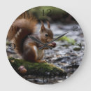 Search for squirrel clocks Wildlife