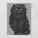 Search for vintage halloween black cat postcards Autumn