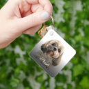 Search for dog remembrance Picture