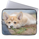 Search for lay electronics Puppy