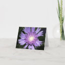 Search for macro cards Plants