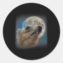 Search for lets rock stickers Lets go brandon