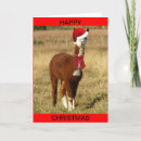 Search for camel christmas cards Santa claus