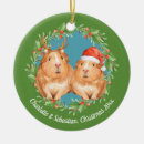 Search for guinea pig christmas decor Santa