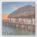 Search for seashell pictures coasters Sand