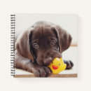 Search for labrador notebooks Pet