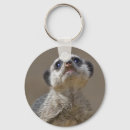 Search for cute meerkat key rings Meerkats