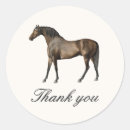 Search for racing Equine