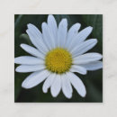 Search for daisy business cards Floral
