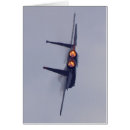 Search for combat pilot Jet