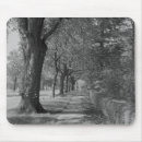 Search for treelined Outdoors