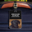 Search for black labrador accessories Animal