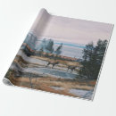 Search for yellowstone wrapping paper Nature