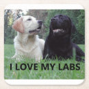 Search for lab coasters Puppy