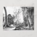 Search for cambodia postcards Artistic