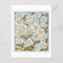 Search for daisy blue postcards Floral