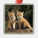 Search for red fox christmas tree decorations Couple