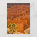 Search for arid Erosion