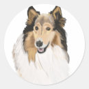 Search for roughing it stickers Rough collie