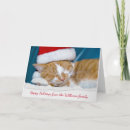 Search for tabby cat christmas cards Animal