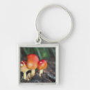 Search for mushroom key rings Edible