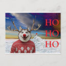 Search for funny christmas postcards Dog