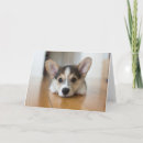 Search for corgi puppy cards Queen's dog