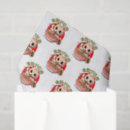 Search for japanese tissue paper Noodles
