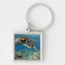 Search for turtle key rings Adorable