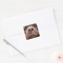 Search for chocolate labrador stickers Cute