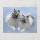 Search for pair postcards Grey