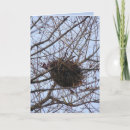 Search for emptiness cards Nest