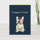 Search for in french congratulations cards Frenchie