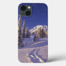 Search for np ipad cases National park