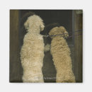 Search for rearing magnets Dog